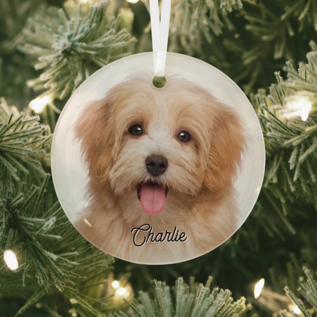 Custom Pet Photo and Name Christmas Holiday Glass Glass Tree Decoration (Insitu)