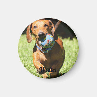 Custom Pet Photo and Text Magnet