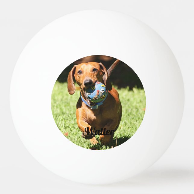 Custom Pet Photo and Text   Ping Pong Ball (Front)