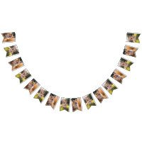 Custom Pet Photo