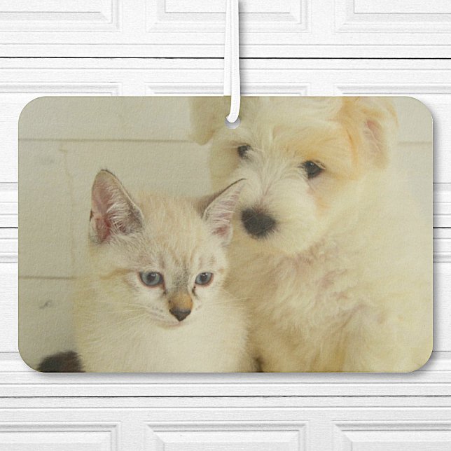 Custom Pet Photo Car Car Air Freshener (Creator Uploaded)