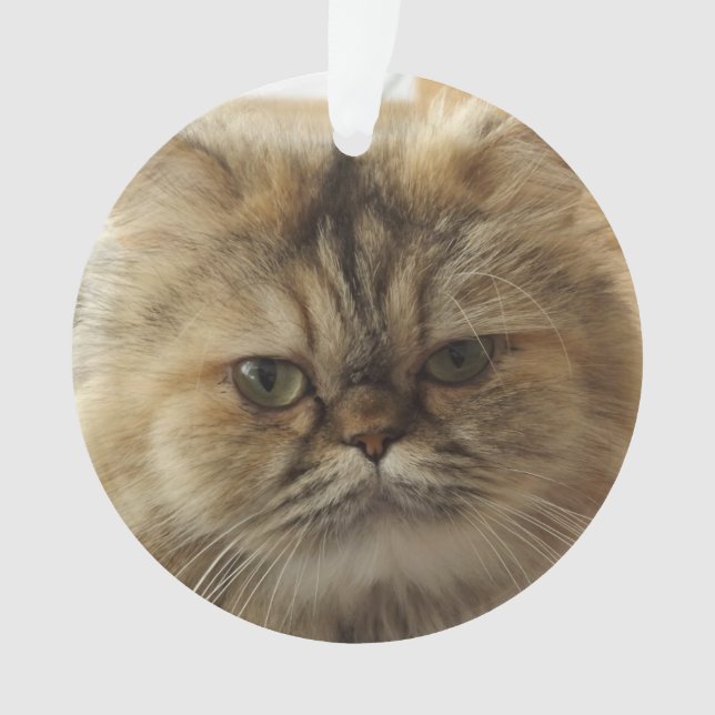 CUSTOM PET PHOTO CAT ORNAMENT (Front)