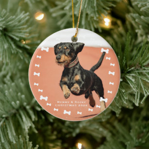Custom Pet Photo Ceramic Tree Decoration