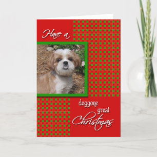Custom Pet Photo Christmas Card