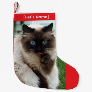Custom Pet Photo Christmas Stocking