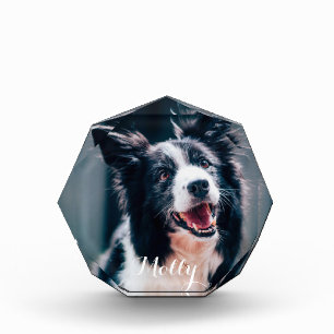 Custom Pet Photo Create Your Own Photo Block