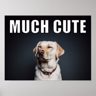 Custom Pet Photo Funny Much Cute Meme Style Poster