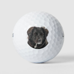 Custom Pet Photo Golf Balls