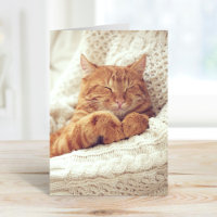 Custom Pet Photo Greeting Cards
