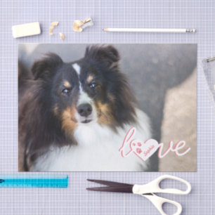 Custom Pet Photo & Love Text With Paws & Name Tissue Paper