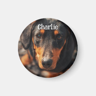 Custom Pet Photo Magnet