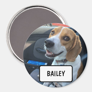 Custom Pet Photo Magnet