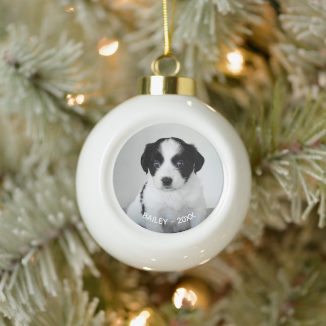Custom Pet Photo Name and Year Ceramic Ball Christmas Ornament (Tree)