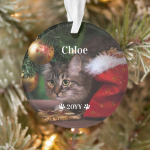 Custom Pet Photo Name and Year Holiday Ornament