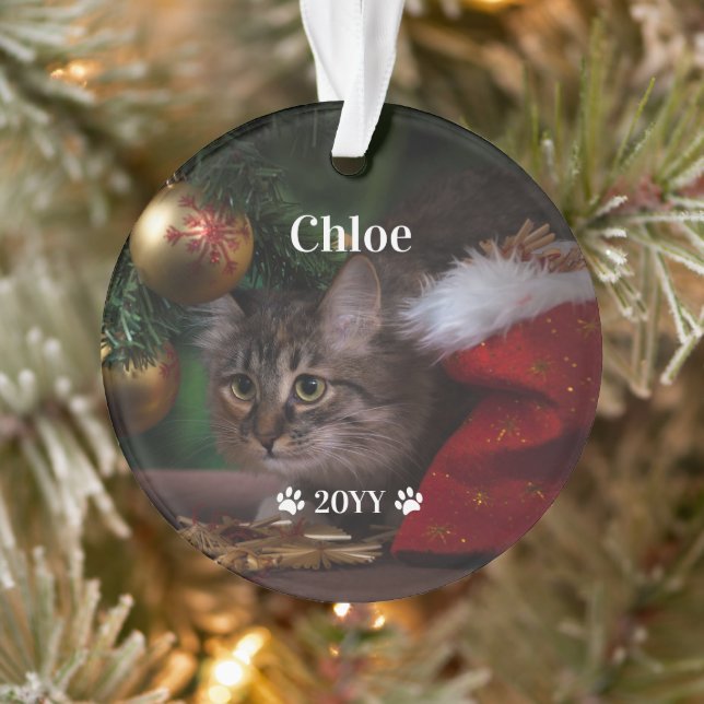 Custom Pet Photo Name and Year Holiday Ornament (Tree)