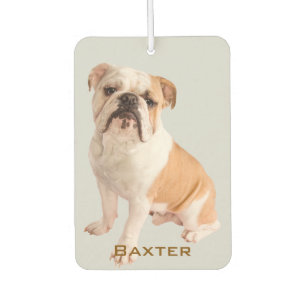 Custom Pet Photo Name Car Air Freshener
