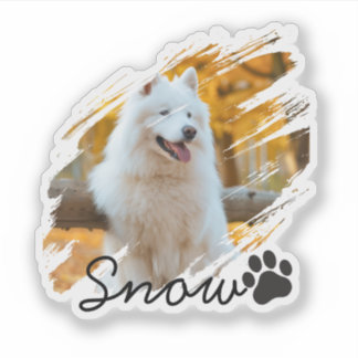 Custom Pet Photo & Name Modern Brushstroke Mug