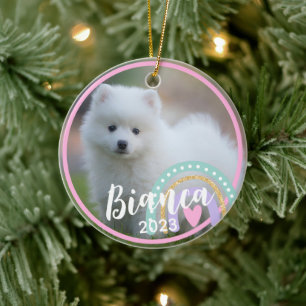 Custom Pet Photo Name Rainbow Ceramic Ornament