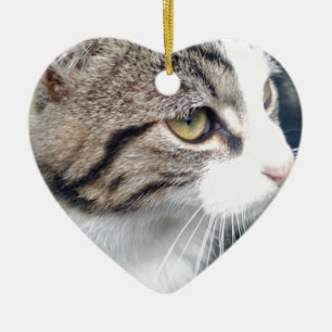 Custom pet photo ornament Add your image here