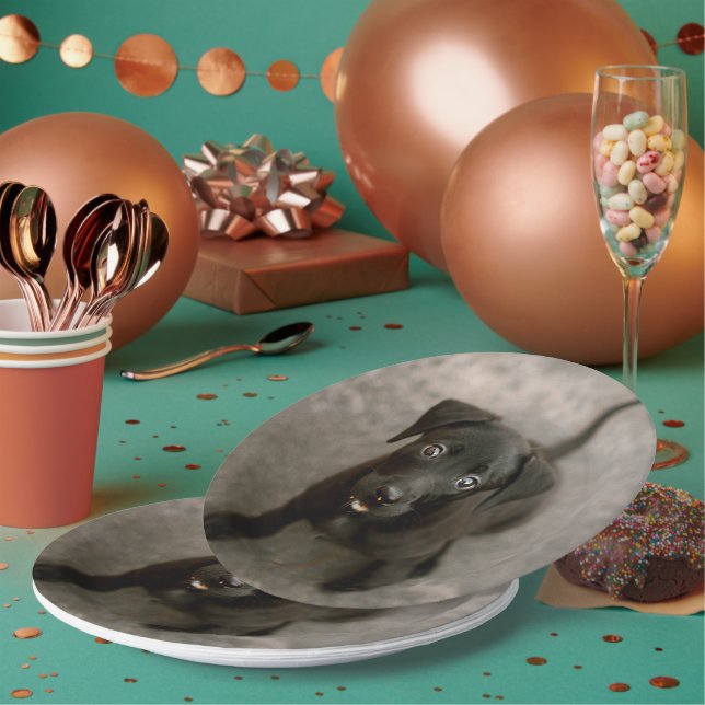 Custom Pet Photo Paper Plate (Multi)