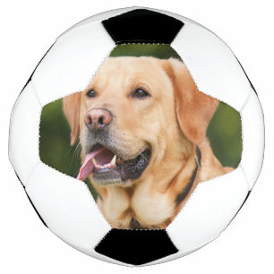 Custom Pet Photo Personalised  Football