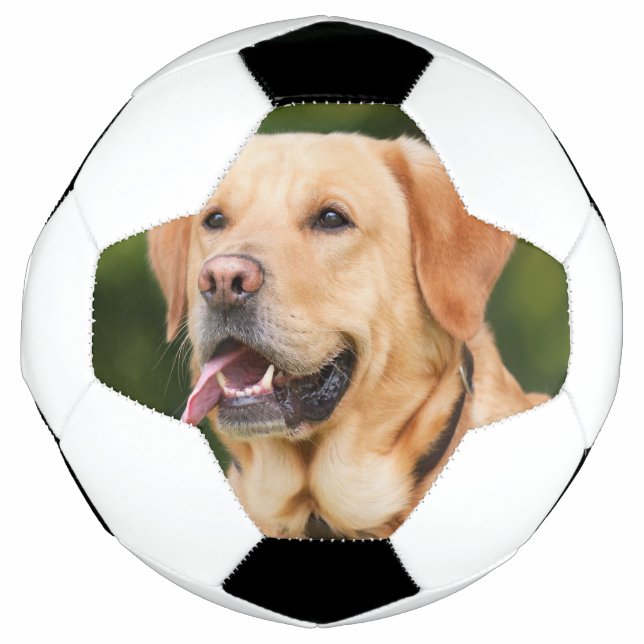 Custom Pet Photo Personalised  Football (Front)