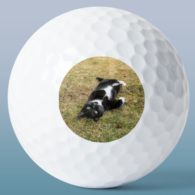 Custom Pet Photo Personalised Modern Golf Balls (Personalized pet photo circle frame custom golf ball for animal lovers)