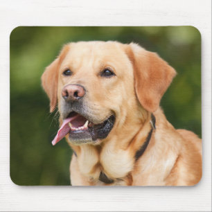 Custom Pet Photo Personalised Mouse Mat
