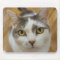 Custom Pet Photo Personalised Mousepad
