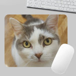 Custom Pet Photo Personalised Mousepad<br><div class="desc">Upload your photo and create a personalised mousepad. You can TRANSFER this DESIGN on other Zazzle products and adjust it to fit most of the Zazzle items. You can also click the CUSTOMIZE button to add, delete or change details like background colour, text, font or some graphics. Standard Studio designs...</div>
