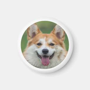 Custom Pet Photo Personalized  Magnet
