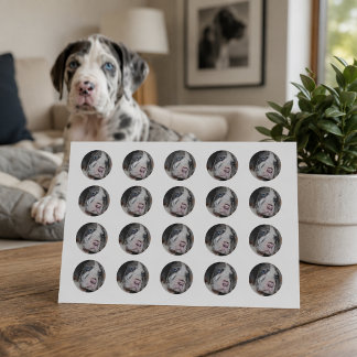 Custom Pet Photo Round Classic Round Sticker