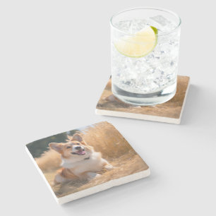 Custom Pet Photo Stone Coaster