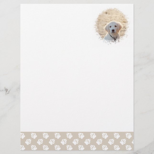 Custom Pet Photo Template With Beige & White Paws Letterhead (Front)