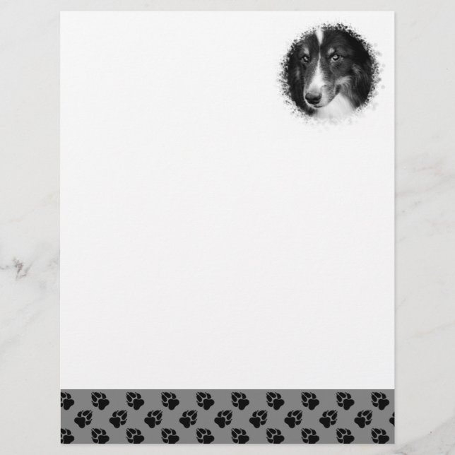 Custom Pet Photo Template With Black Paws On Grey Letterhead (Front)