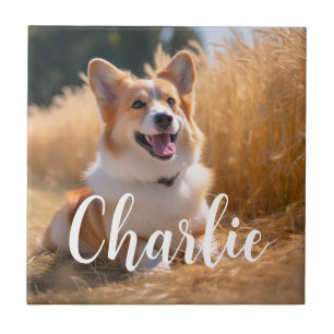Custom Pet Photo Tile