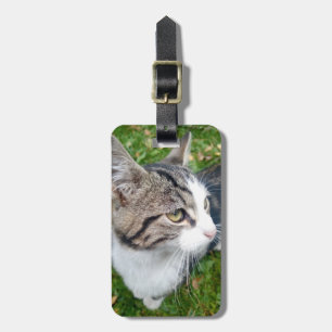 Custom pet photo travel luggage tag for baggage