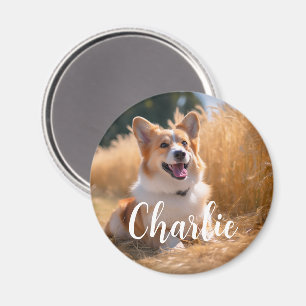 Custom Pet Photo with Name Magnet