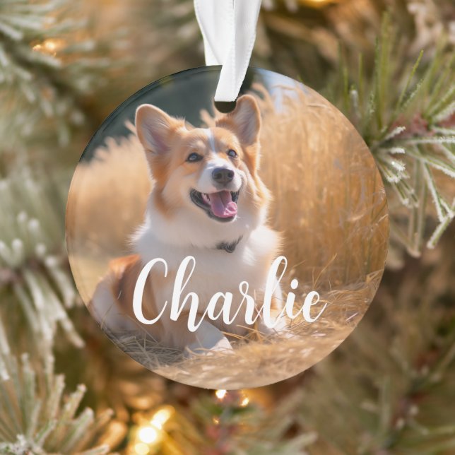 Custom Pet Photo with Name Ornament (Tree)