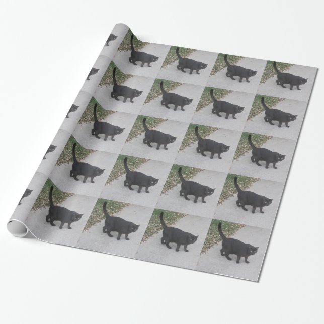 Custom Pet Photo Wrapping Paper (Unrolled)