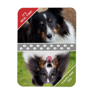 Custom Pet Photos Dog Feeding Reminder Magnet