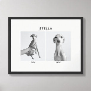 Custom Pet Portrait   Then and Now Poster