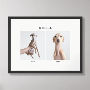 Custom Pet Portrait Then and Now Poster