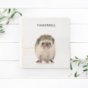 Custom Pet Portrait with Name Wooden Box Sign