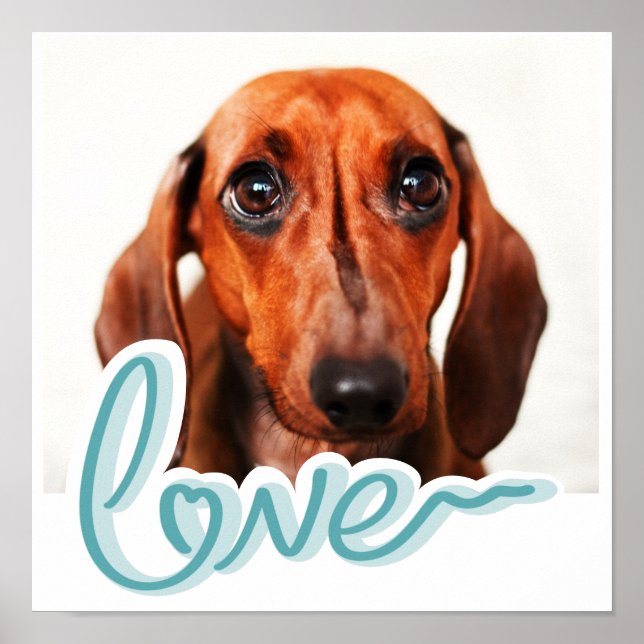 Custom Pet Poster with Modern Blue Typography (Front)