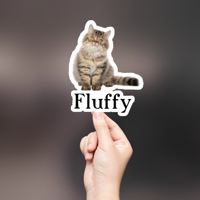 Custom Pet Sticker, Custom Dog Sticker, Custom Cat (Creator Uploaded)