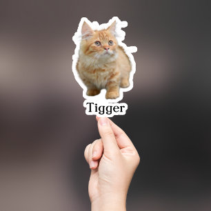 Custom Pet Sticker, Custom Dog Sticker, Custom Cat