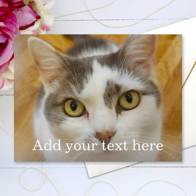 Custom Photo and Name Personalised Postcard (Creator Uploaded)