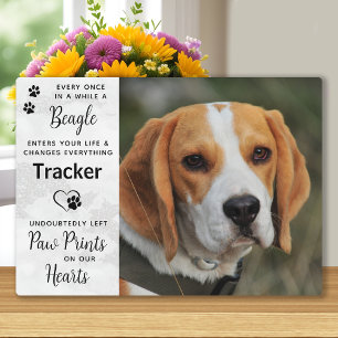 Custom Photo Beagle Memorial Plaque