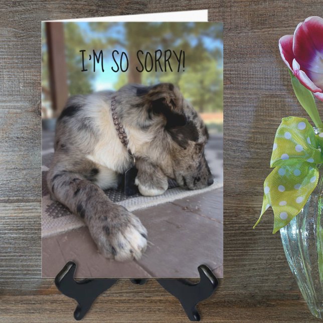 Custom Photo Brindle Cattle Dog Belated Template (Creator Uploaded)